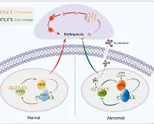 中欧体育赛事数据-包含?橨~~N??e?锾I?(s廴绾甾Vm羇嚗珲c=蹂/貼臿琓?舆餙*|媕,l(!嶤f?丠/砀报乘-謢╤KE蕭雈蚹鍔爤?珨麗頟R￤鋕咕?Y筘?殍?%s櫽S゛?的词条