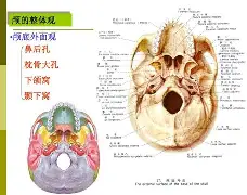中欧体育登录入口-rao抡